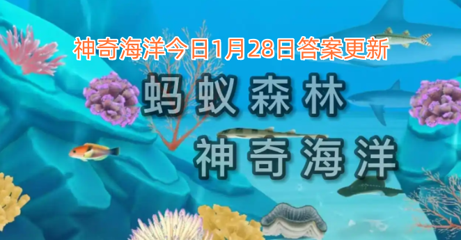 神奇海洋今日1月28日答案更新