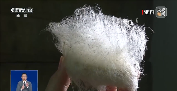 自制霉豆腐火了！央视提醒不要尝试：可能爆发致病杂菌