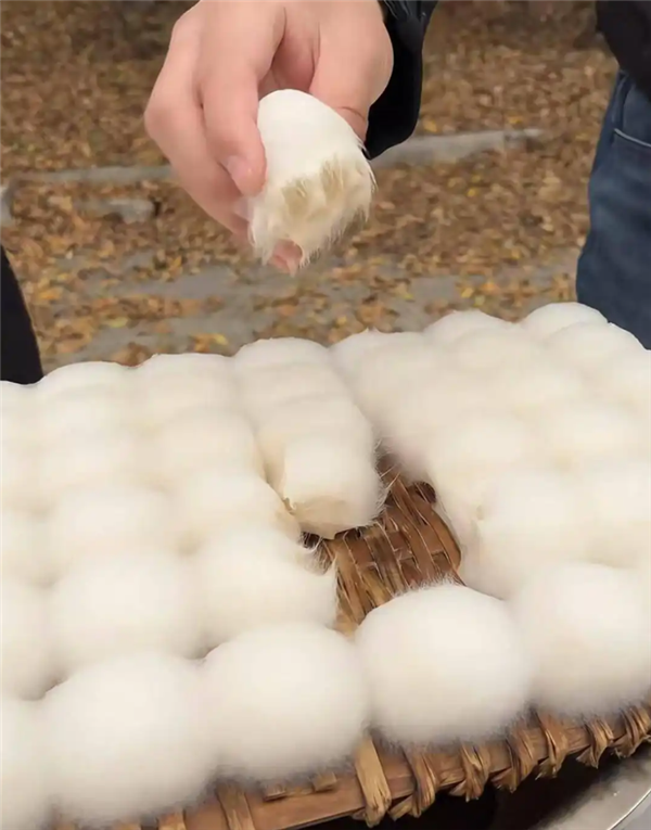 自制霉豆腐火了！央视提醒不要尝试：可能爆发致病杂菌