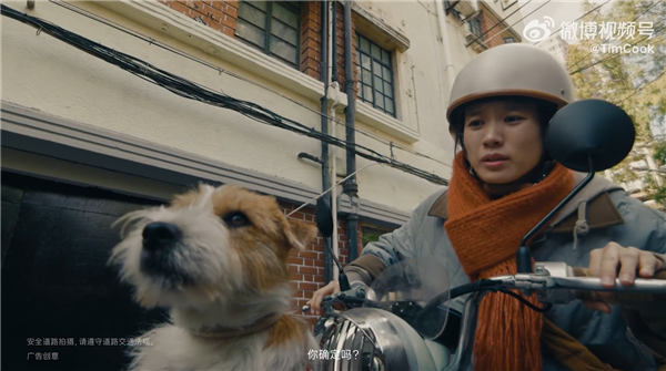 苹果2026新春大片《碰见你》上线 库克：iPhone 17 Pro拍摄 希望大家喜欢