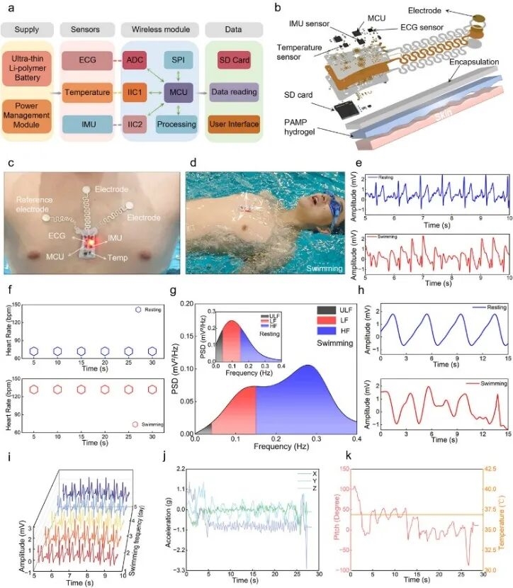 浙大研发出水下创可贴：仅需10秒快速强黏附 鲶鱼都能粘