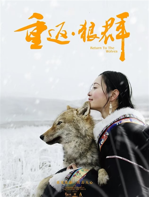 《重返狼群》再度爆火！作者李微漪回应：狼王格林已不在了