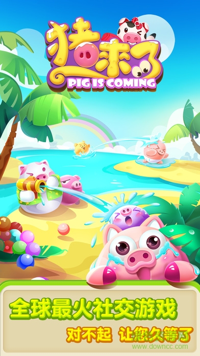 支付宝猪来了手机版