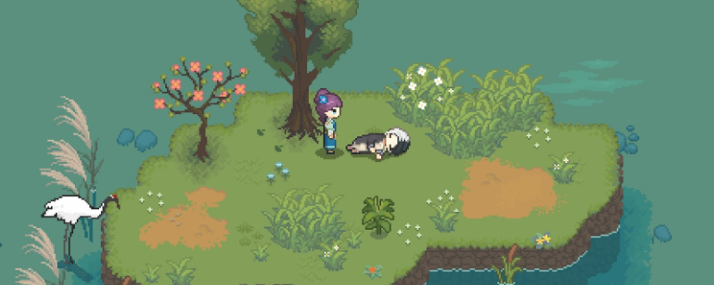 《桃源村日志》苏敏偏好介绍