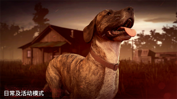 into the dead2手游