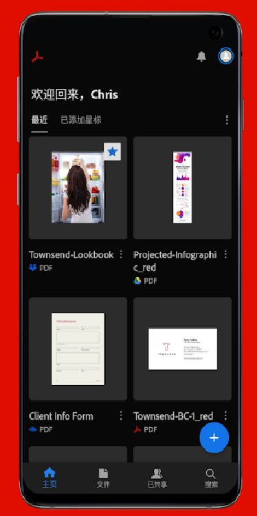 Adobe Acrobat Reader