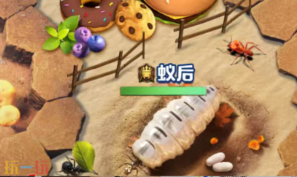 小小蚁国官网首页入口在哪里 小小蚁国官网首页入口地址