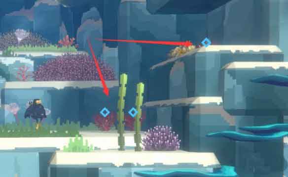 潜水员戴夫石花菜在哪 石花菜获取方法