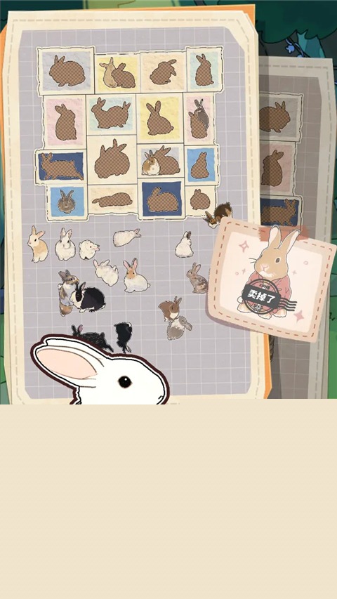 挤在一起的兔兔