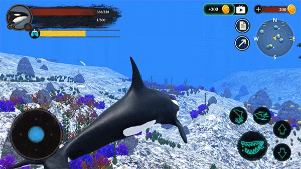 虎鲸模拟器2026官方最新版本