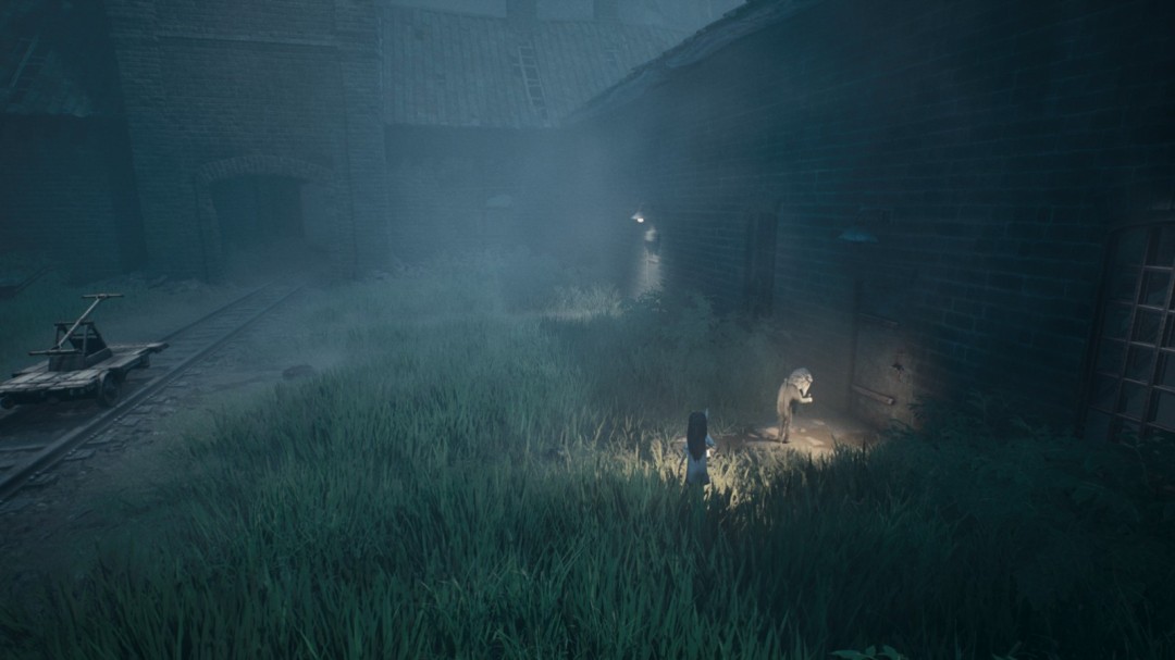 《生灵重塑》水中绝命收集指南