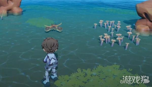 星布谷地怎么抓龙虾1