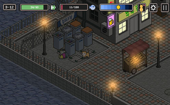 街头流浪猫冒险 1