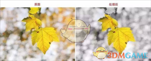 《绿叶修图》蒙版工具教程