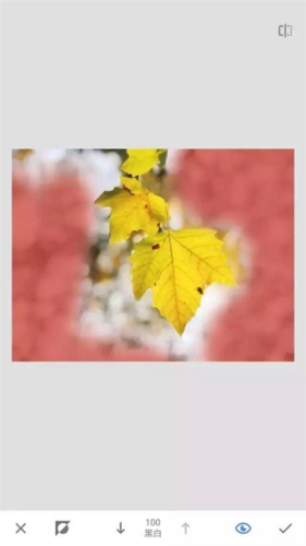 《绿叶修图》蒙版工具教程