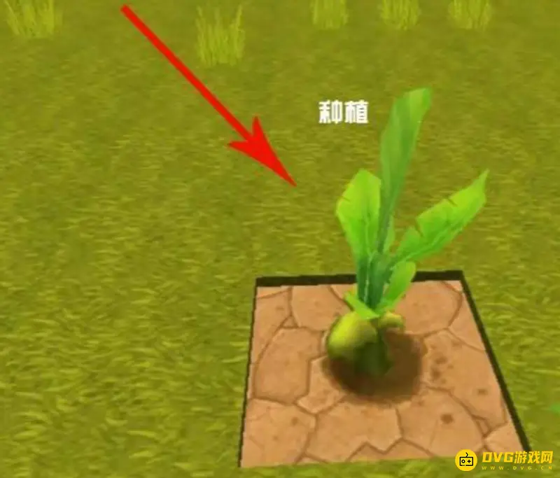 《迷你世界》耕地方法详解
