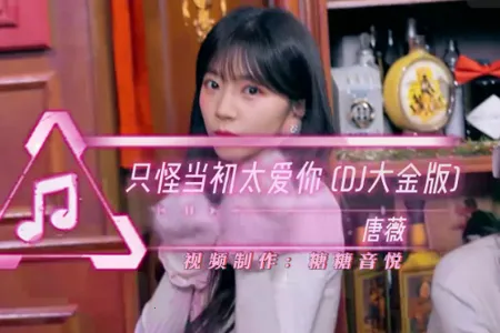 应龙TV电视版最新手机版