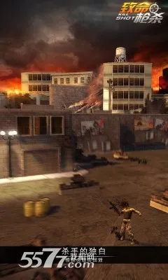 致命枪杀Kill Shot