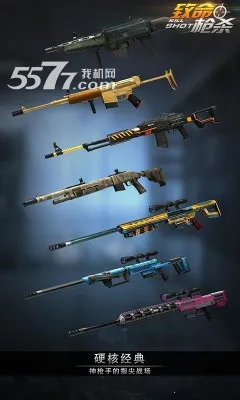 致命枪杀Kill Shot