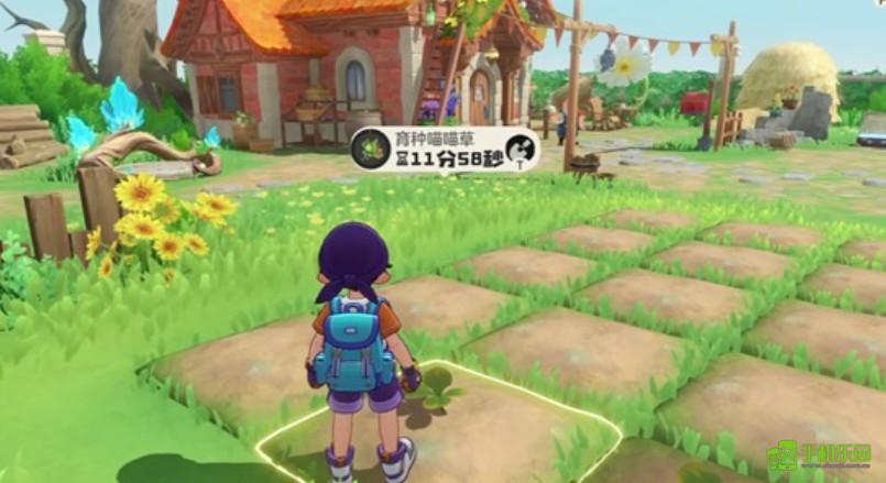 洛克王国世界家园田地开放方式