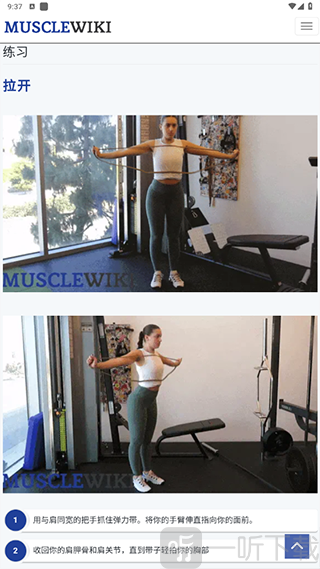 MuscleWiki中文版