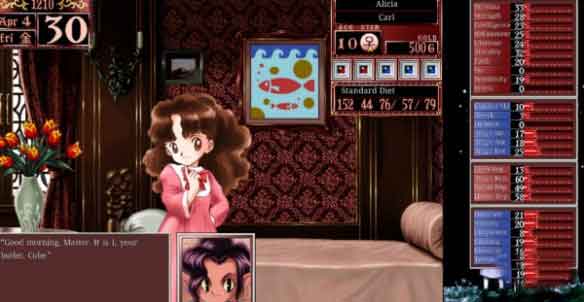 美少女梦工厂2韶华再续秘籍怎么用？