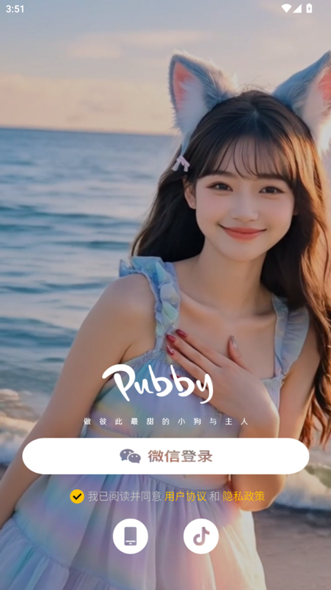 Pubby软件