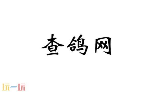 查鸽网官网入口 查鸽网全国最大的信鸽查询网站