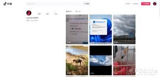 抖音网页版内容浏览入口在哪