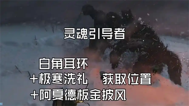 红色沙漠白角耳环获取方法