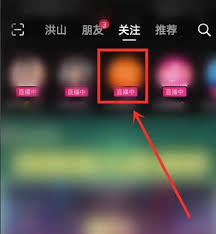 抖音直播专业版手机入口在哪