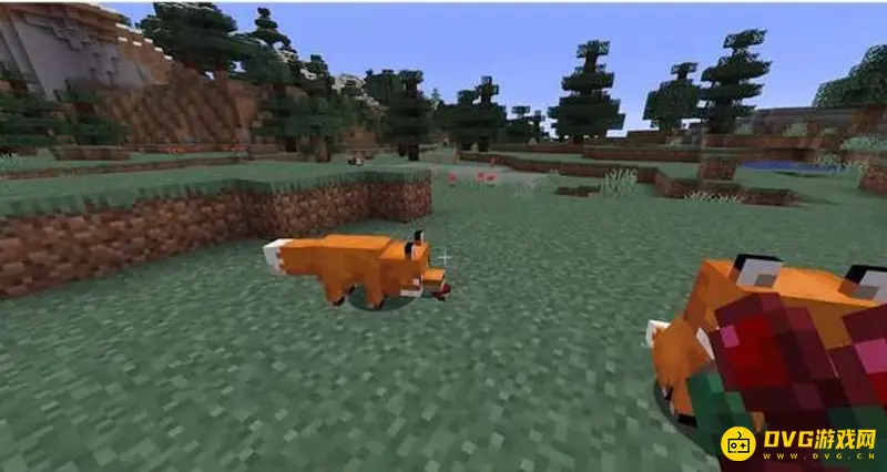 《我的世界手游》狐狸食物详解