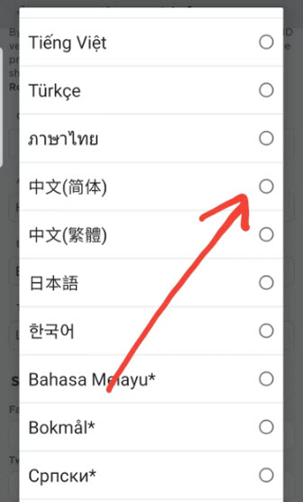 roblox国际版