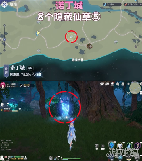 斗罗大陆猎魂世界诺丁城8个隐藏仙草位置一览-5