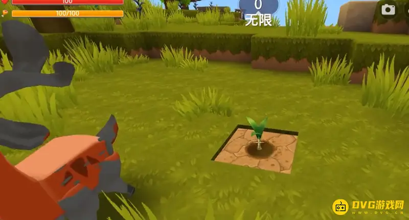 《迷你世界》椰子树种植方法详解