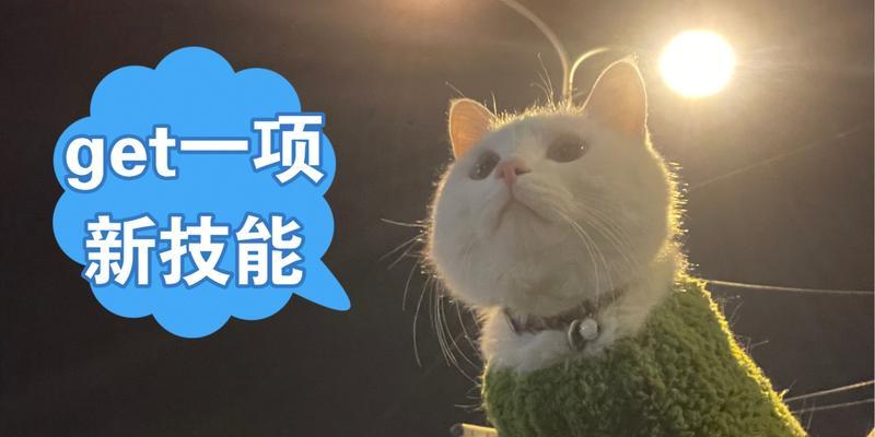 姐妹解锁新技能攻略（如何与姐妹一起实现梦想，解锁新的技能天赋）-第1张图片-