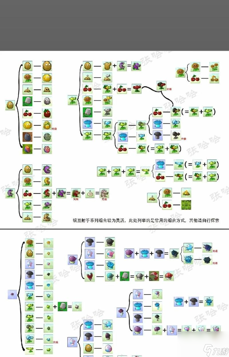 《植物大战僵尸经典十二炮阵型详解分析》(揭秘游戏中最强力的十二炮阵型)