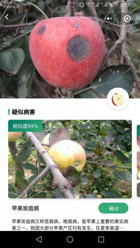 口袋农库 1