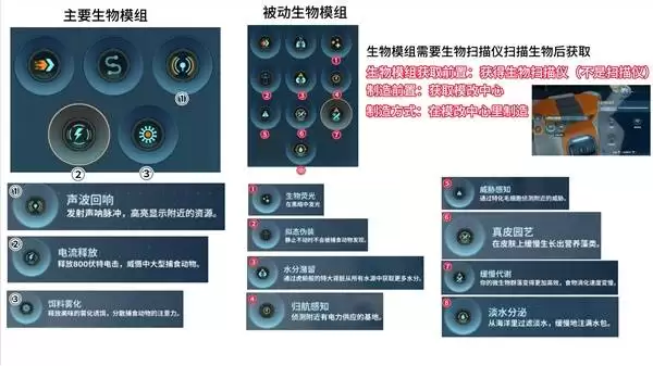 img_6a1028649e39030.webp