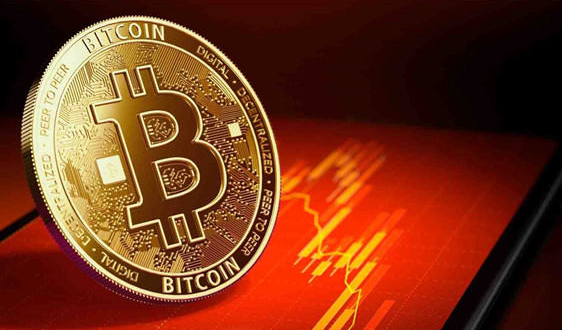 蚂蚁庄园5月23日最新答案：今日庄园答题正确答案速查