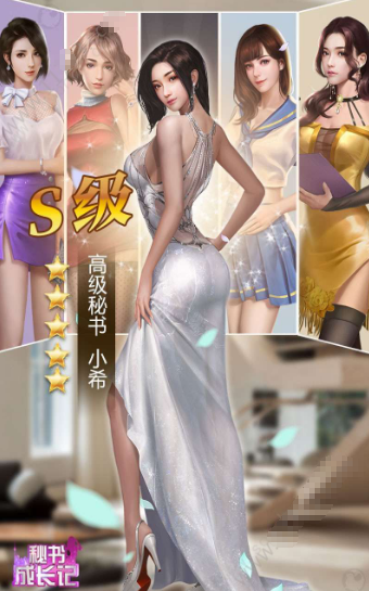 秘书成长记