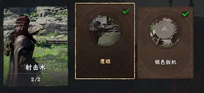 《红色沙漠》游戏王者成就做法分享
