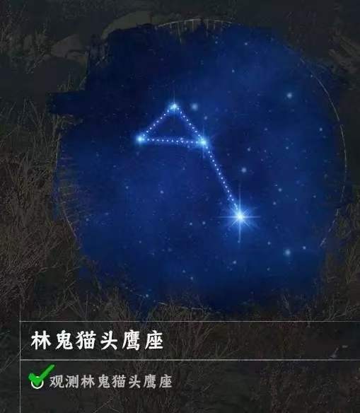 《红色沙漠》星之引路人成就做法分享