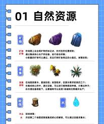 img_6a151e9a9445b32.jpg