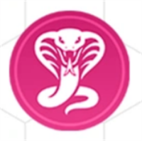 img_6a17faf16930c34.png