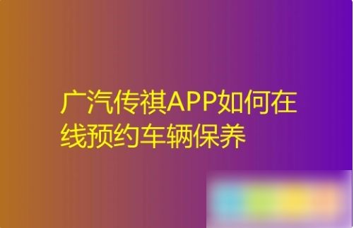 img_6a1906947d45d30.png
