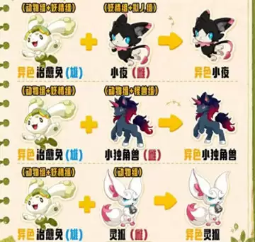 img_6a1a55b423dd933.webp
