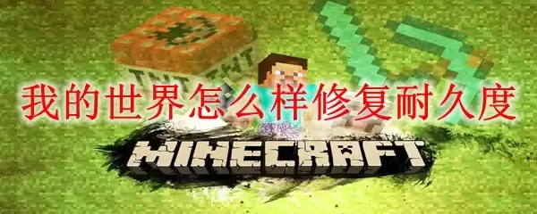 img_6a1b8b8c4b75330.webp