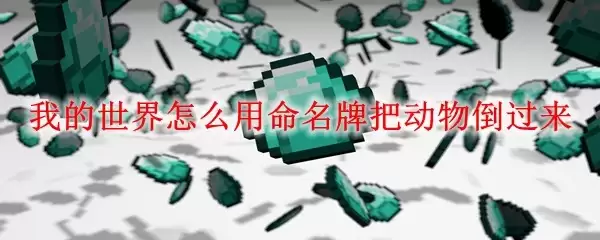img_6a1b9a8b72f5730.webp