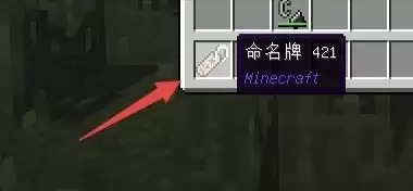 我的世界怎么用命名牌把动物倒过来